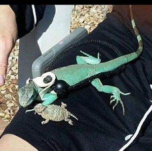 Meet your Posher, Cj